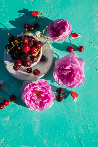 Red ripe sweet cherry in a white cup and on a sprig and a pink rose on a wooden table in a summer garden, close-up