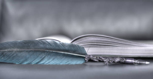 istock An open book with a green pen 993953858