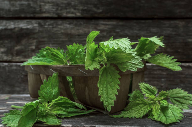 istock Naturopathy. Herbal medicine. 993954124