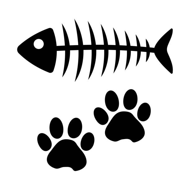 Fish bone and cat paw track. Black silhouette. Vector illustration Fish bone and cat paw track. Black silhouette. Vector illustration animal bone stock illustrations