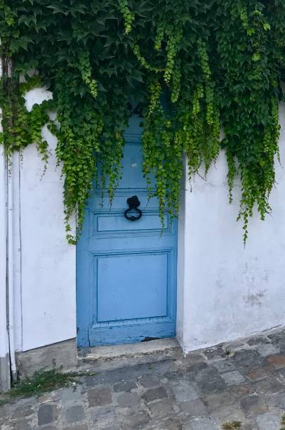istock Blue door with green....hair 993960598
