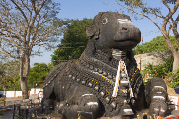 istock Nandi Bull black rock statue in Chamundi Hills, Mysore, India 993961396