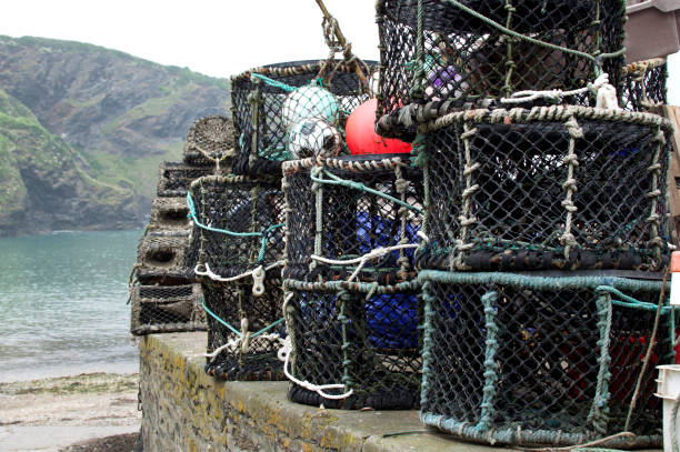 lobster pots port isaac - cornwall england uk england port isaac imagens e fotografias de stock