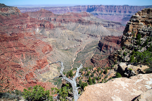 View of into Bright Angel Canyon. North Rim of the Grand Canyon. Arizona, American Southwest.