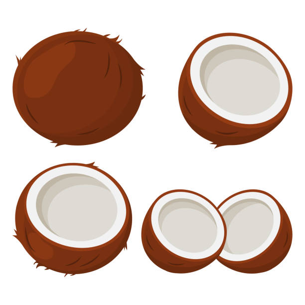 ilustraciones, imágenes clip art, dibujos animados e iconos de stock de juego de coco. ilustración de vector - coconut milk soup