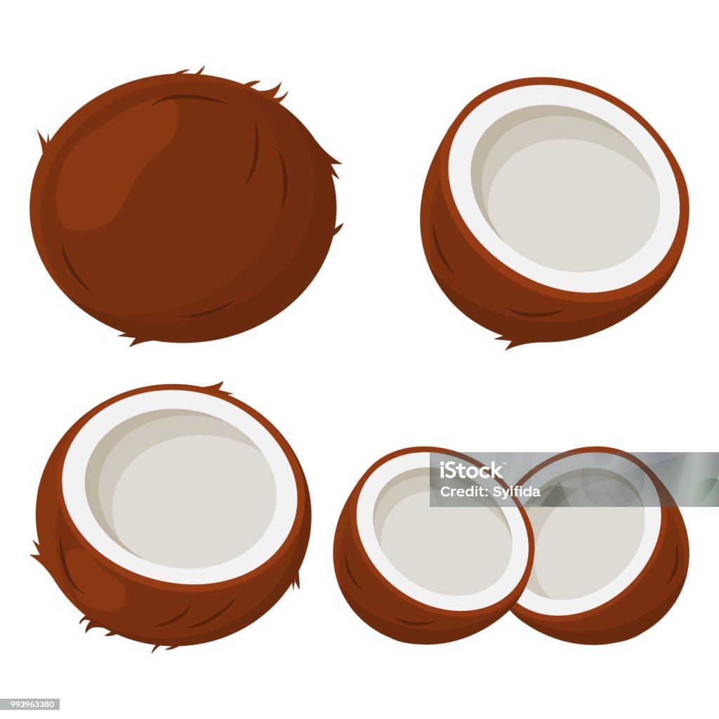 Set of coconut. Vector illustration Coconut stock vector