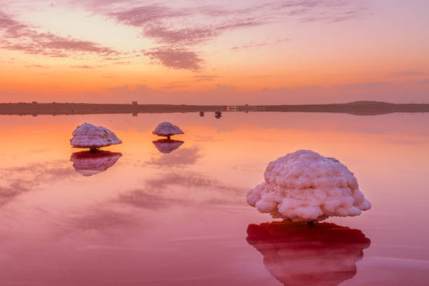 lago rosa en el masazir. bakú, azerbaiyán. - azerbaiyán fotografías e imágenes de stock