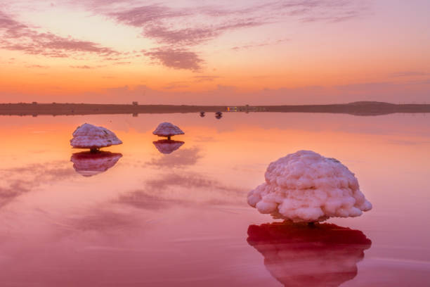 Pink Lake in the Masazir. Baku, Azerbaijan. Mushroom-shaped salt formation in the Masazir Lake. Water of this lake is heavily saturated with salt and has a bright pink color. Masazir, Baku, Azerbaijan. baku photos stock pictures, royalty-free photos & images