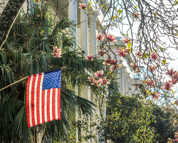 istock Southern Patriotism 993969988