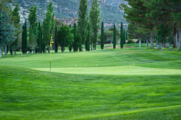 istock Beautiful golf course in Arizona 993976506