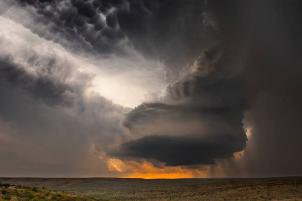 Large, powerful tornadic supercell storm moving over the Great Plains during sunset, setting the stage for the formation of tornados across Tornado Alley. Large, powerful tornadic supercell storm moving over the Great Plains during sunset, setting the stage for the formation of tornados across Tornado Alley. Large, powerful tornadic supercell storm moving over the Great Plains during sunset, setting the stage for the formation of tornados across Tornado Alley.
