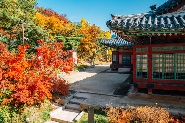 istock Deoksugung Palace with autumn maple in Seoul, Korea 993987090