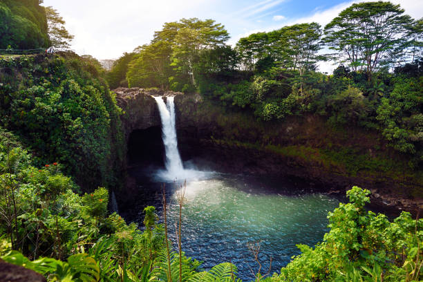 cascata majesitc rainbow falls a hilo, wailuku river state park, hawaii - hilo foto e immagini stock