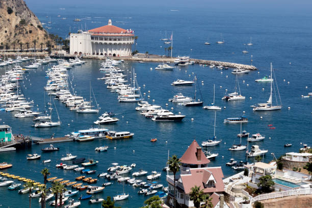 istock Overhead wide angle view of Avalon harbor and bay 994011500