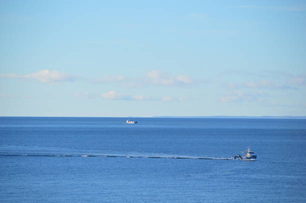 istock Strait of Magellan, Chile. 994025016