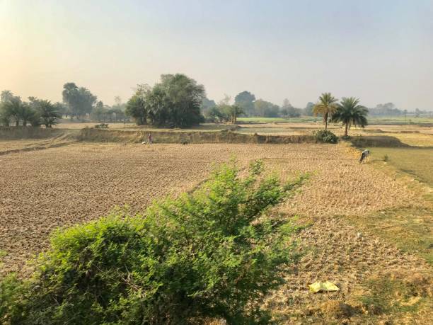 istock Agricultural field in village 994054280