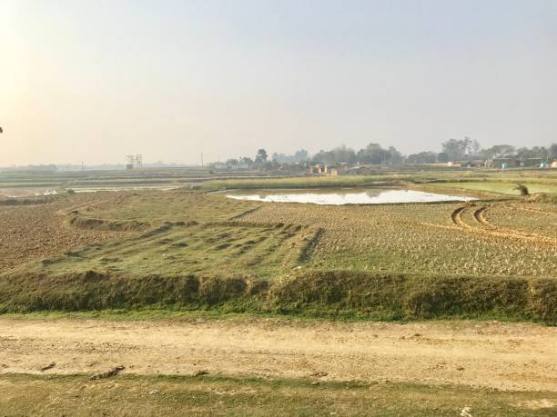 istock Agricultural field in village 994054622