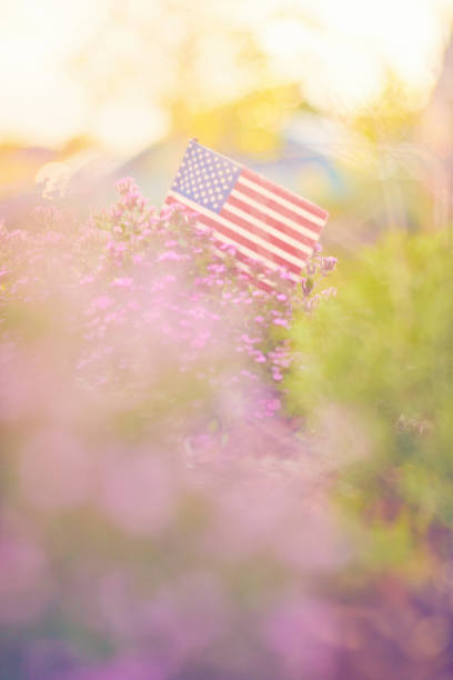 istock Abstract nature background with American flag 994055286