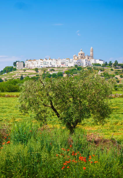 locorotondo (puglia, italie) - poetic photos et images de collection