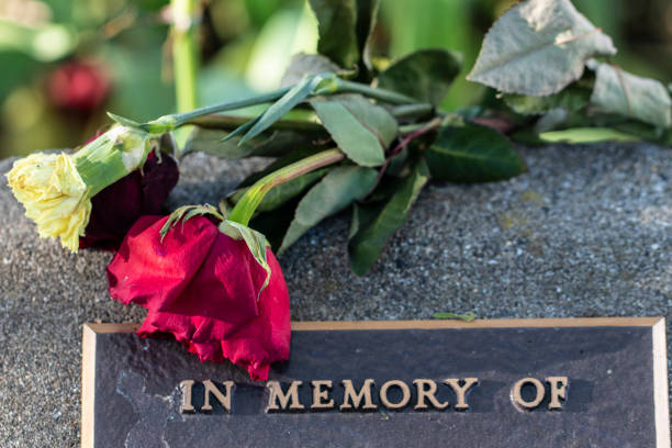 Wilting Flowers on a Memorial Wilting Flowers on a Memorial Funeral stock pictures, royalty-free photos & images