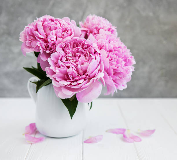 istock Pink peony flowers 994104740