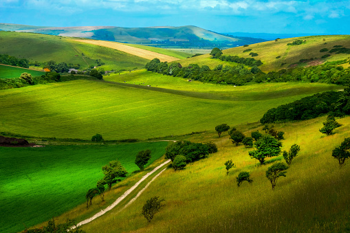 Rolling english countryside, hills on each side of the image with a dirt track running through the bottom of the hills in the middle of the image, farmland land with small trees and bushes edging rural the fields Sussex Uk beautiful painterly effect.
