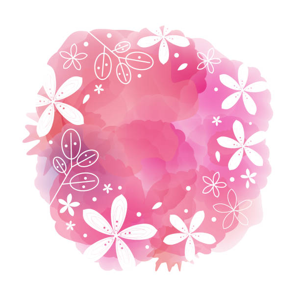 ilustrações de stock, clip art, desenhos animados e ícones de spring floral frame - flower flourishes paint backgrounds