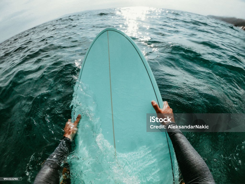 Catching the waves First person point of view photo of a surfer floating in the ocean while catching the waves on his surfboard Surfing Stock Photo