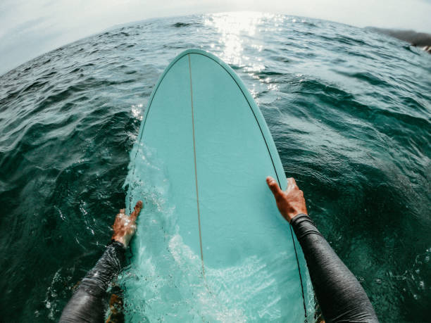Catching the waves First person point of view photo of a surfer floating in the ocean while catching the waves on his surfboard wide angle photos stock pictures, royalty-free photos & images