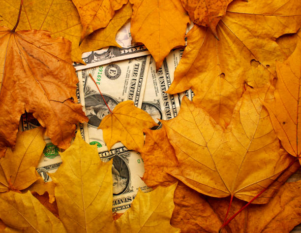 dollar banknotes under fallen leaves, closeup, top view
