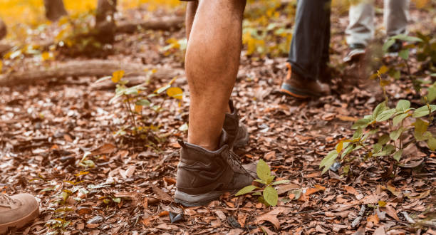istock People trekking in the forest 994132336