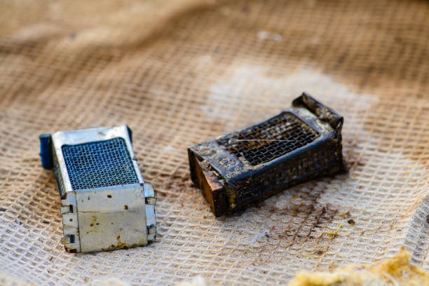 istock beekeeper's tools, a box for planting mother's bee 994137196
