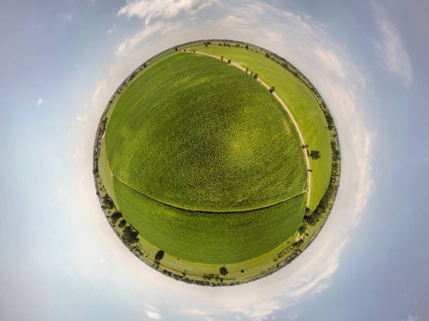 360° panoramic view of corn fields 360° panoramic view of corn fields 360 degree view photos stock pictures, royalty-free photos & images