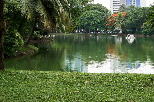 istock Lumpini Park, Bangkok 994154712