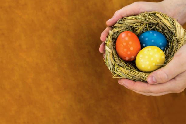 istock nest colored eggs holiday symbol Easter in hands on a wooden background and copy space 994156160
