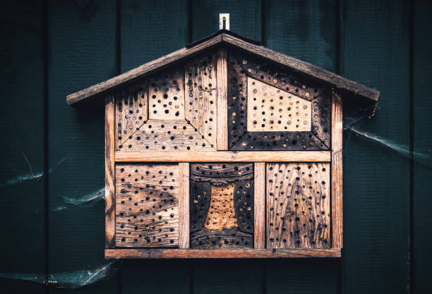 istock The weathered and abandoned bee hotel 994163524