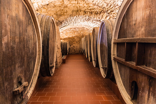 Old cellar winery interior with big wooden wine barrels
