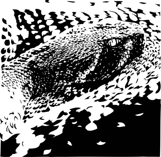 Vector illustration of Rattlesnake portrait