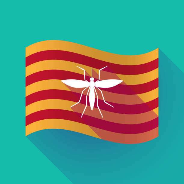 Fly Insect Flag 120+ Spanish Fly Insect Stock Illustrations, Royalty-Free Vector ...
