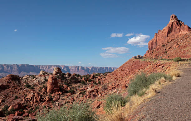 istock Fredonia-Vermillon Cliffs Scenic Road, Arizona, USA 994172672