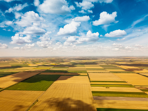 Landscape shot of fields and blue sky