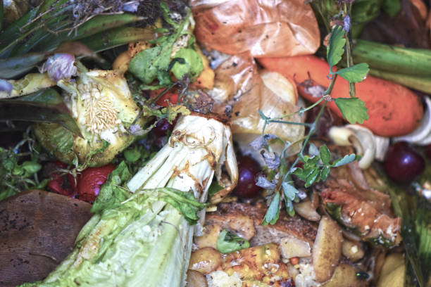 istock View into a bio container  with various organic wastes from vegetables, fruits and others for recycling 994176490