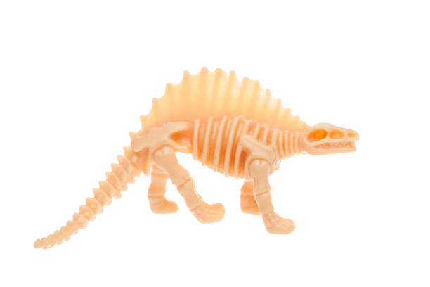 istock Toy dinosaur on white isolated background 994198450