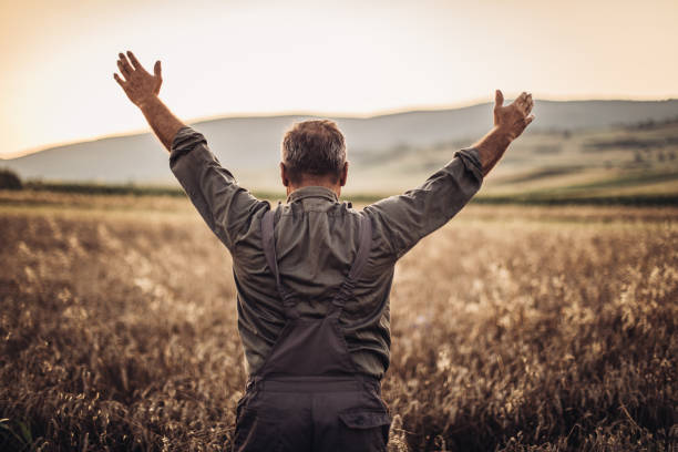 istock Farmer in yellow wheat meadow .Freedom concept 994254332
