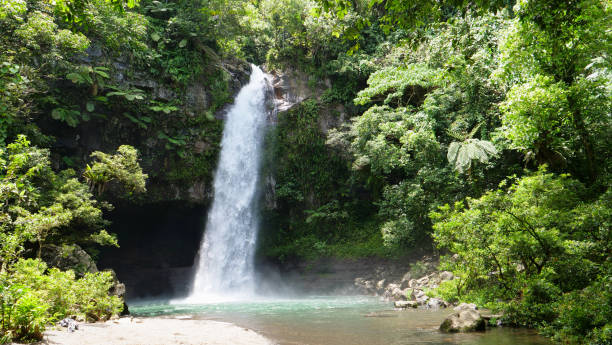 istock Small river flowing through the jungle turns into a stunning emerald waterfall. 994255676