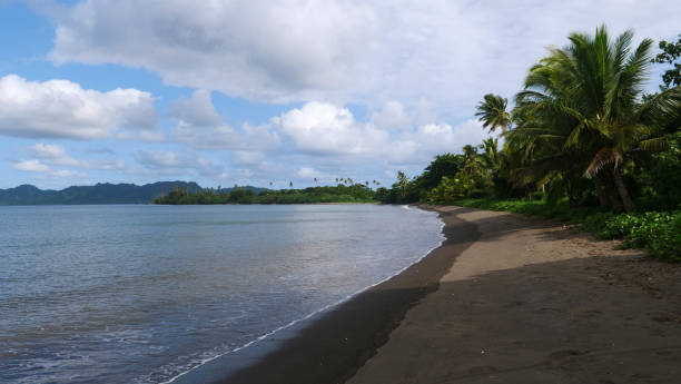 istock Lush palm tree canopies cast a shade on empty sandy shore on paradise island. 994255784