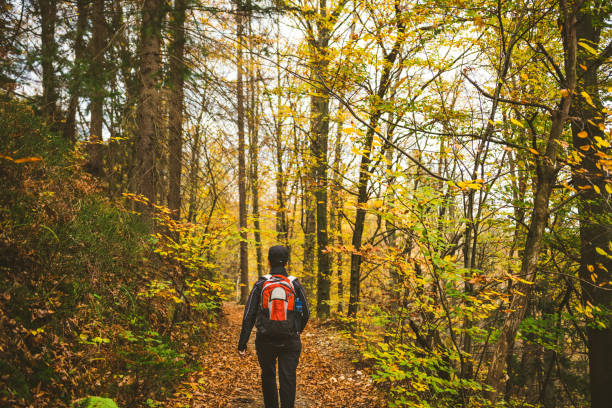 istock Woman Hiking In Forest 994259944