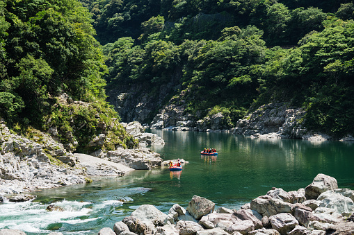 Large group of men and women white water river rafting in a forested valley in Japan.