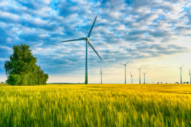 istock renewable energies - power generation with wind turbines in a wind farm 994264112