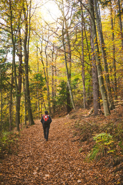 istock Hiking In Autumn Forest 994272770